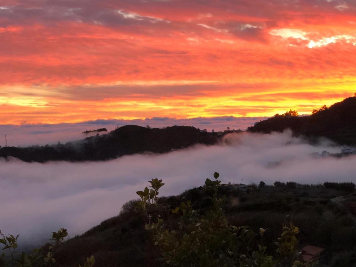 Casa Rural Con Bonitas Vistas تيرور المظهر الخارجي الصورة